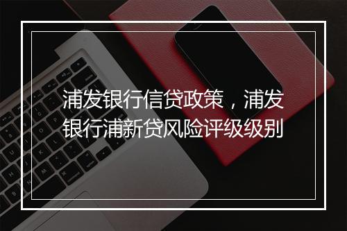 浦发银行信贷政策，浦发银行浦新贷风险评级级别