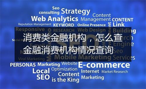 消费类金融机构，怎么查金融消费机构情况查询