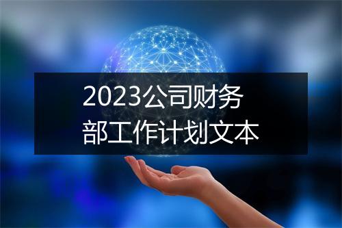 2023公司财务部工作计划文本