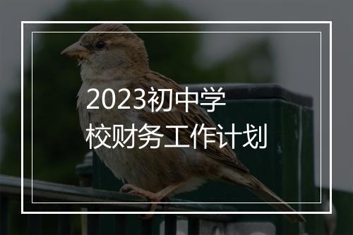 2023初中学校财务工作计划