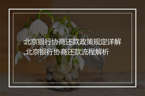 北京银行协商还款政策规定详解,北京银行协商还款流程解析