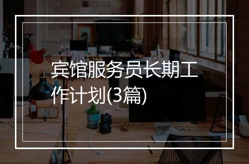 宾馆服务员长期工作计划(3篇)