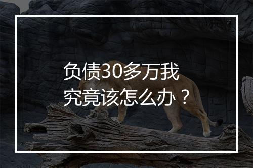 负债30多万我究竟该怎么办？