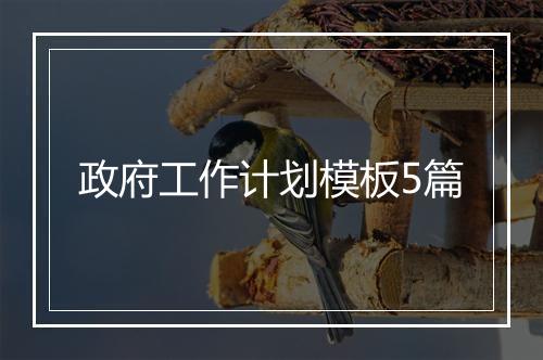 政府工作计划模板5篇