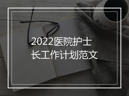 2022医院护士长工作计划范文