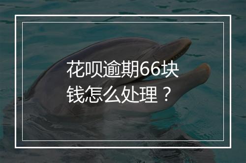 花呗逾期66块钱怎么处理？