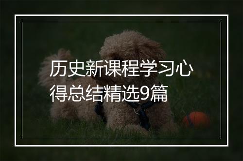 历史新课程学习心得总结精选9篇