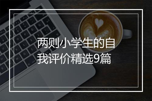 两则小学生的自我评价精选9篇