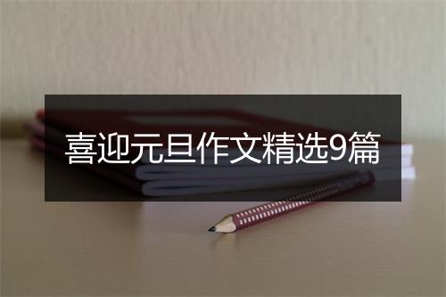 喜迎元旦作文精选9篇