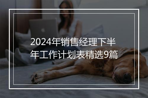 2024年销售经理下半年工作计划表精选9篇