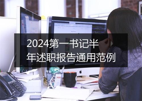 2024第一书记半年述职报告通用范例