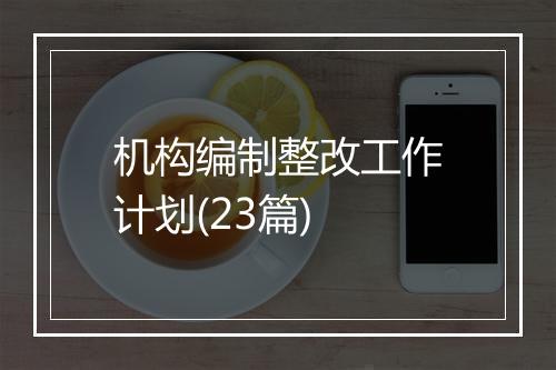 机构编制整改工作计划(23篇)