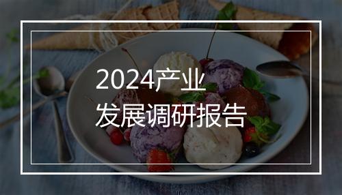2024产业发展调研报告