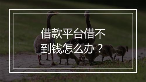 借款平台借不到钱怎么办？