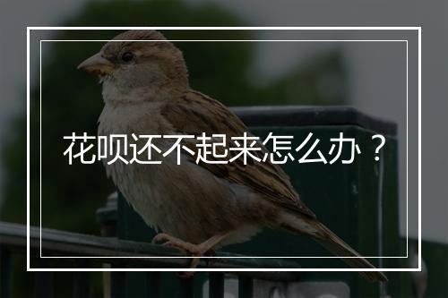 花呗还不起来怎么办？