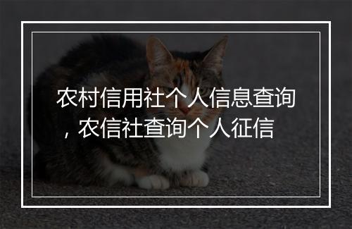 农村信用社个人信息查询，农信社查询个人征信