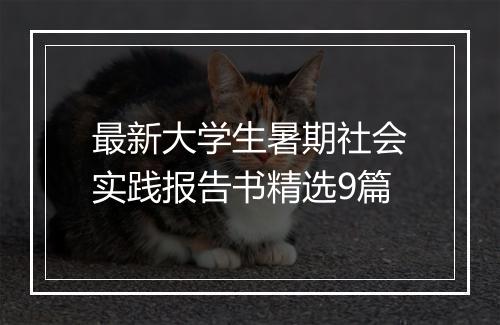 最新大学生暑期社会实践报告书精选9篇