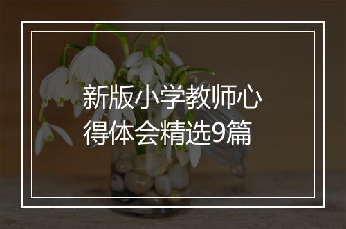 新版小学教师心得体会精选9篇