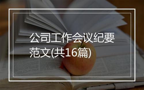 公司工作会议纪要范文(共16篇)