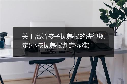 关于离婚孩子抚养权的法律规定(小孩抚养权判定标准)
