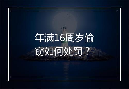 年满16周岁偷窃如何处罚？