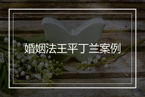 婚姻法王平丁兰案例