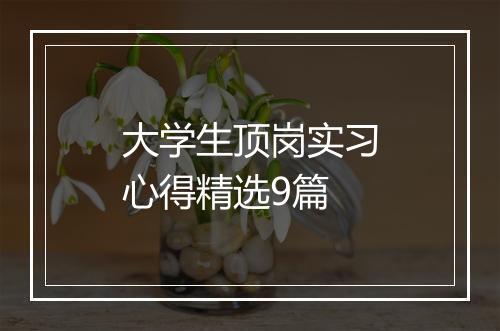 大学生顶岗实习心得精选9篇