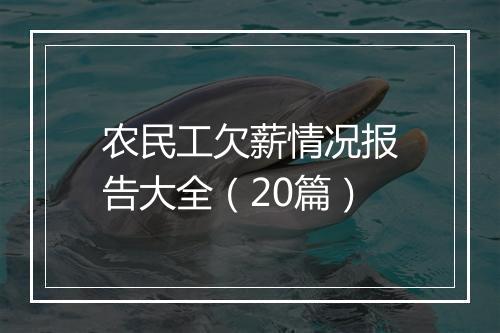 农民工欠薪情况报告大全（20篇）