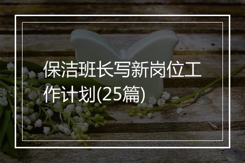 保洁班长写新岗位工作计划(25篇)