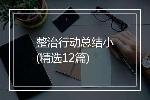 整治行动总结小(精选12篇)