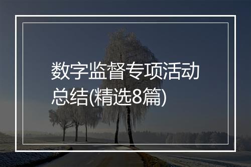 数字监督专项活动总结(精选8篇)