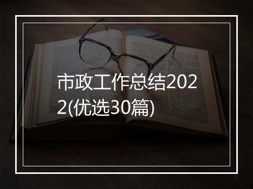 市政工作总结2022(优选30篇)