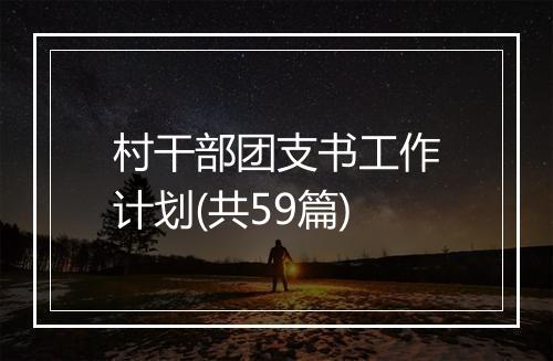 村干部团支书工作计划(共59篇)