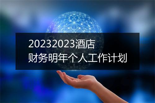 20232023酒店财务明年个人工作计划