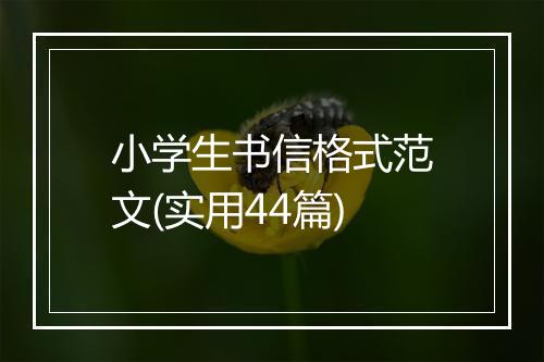 小学生书信格式范文(实用44篇)