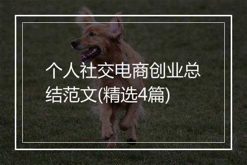 个人社交电商创业总结范文(精选4篇)