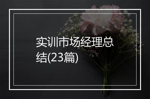 实训市场经理总结(23篇)