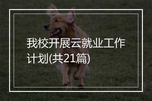 我校开展云就业工作计划(共21篇)