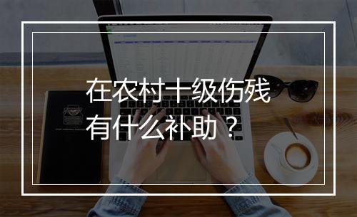 在农村十级伤残有什么补助？