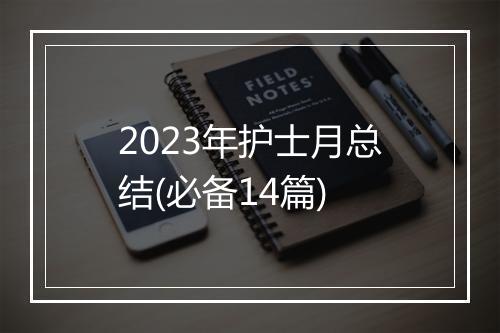 2023年护士月总结(必备14篇)