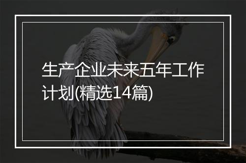 生产企业未来五年工作计划(精选14篇)