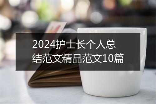 2024护士长个人总结范文精品范文10篇