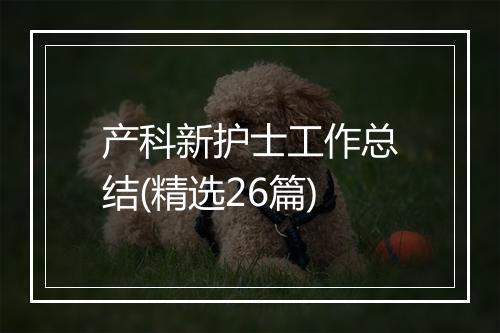 产科新护士工作总结(精选26篇)