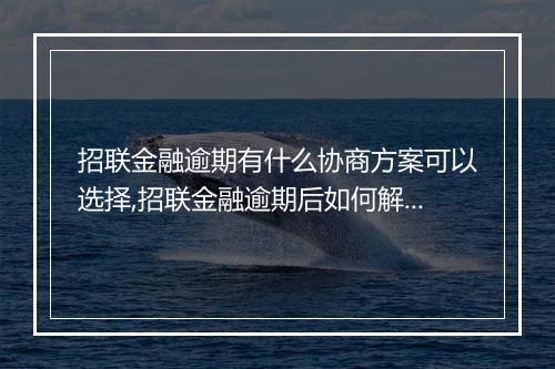 招联金融逾期有什么协商方案可以选择,招联金融逾期后如何解决
