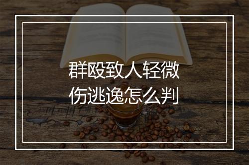 群殴致人轻微伤逃逸怎么判