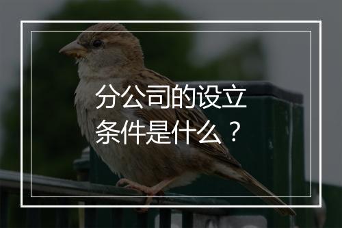 分公司的设立条件是什么？