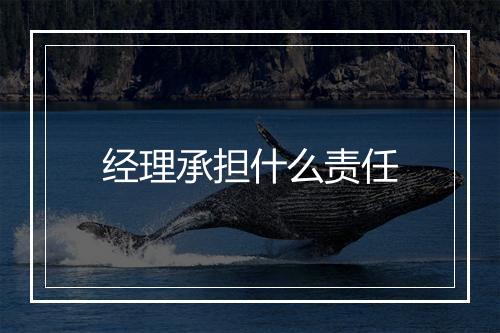 经理承担什么责任
