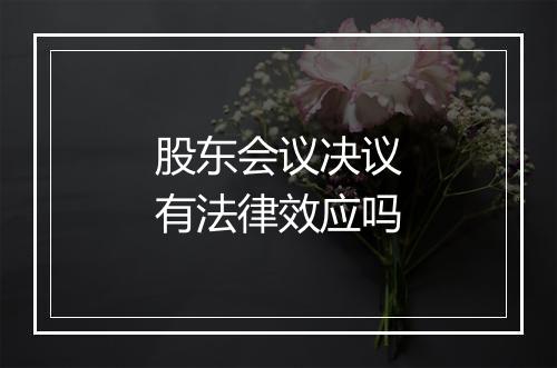 股东会议决议有法律效应吗