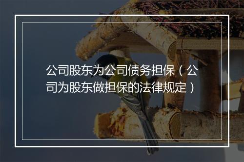 公司股东为公司债务担保（公司为股东做担保的法律规定）