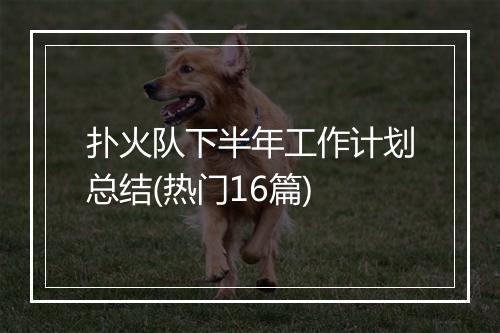 扑火队下半年工作计划总结(热门16篇)